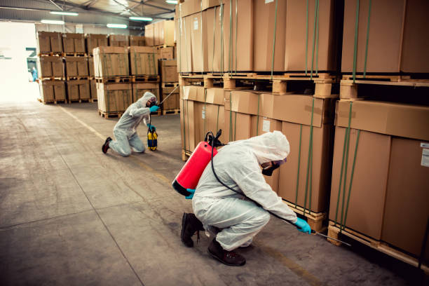 Best Wasp Removal Services  in Teviston, CA