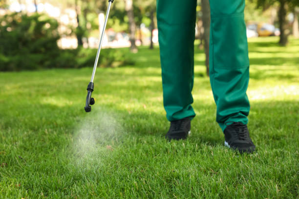 Best Bed Bug Extermination  in Teviston, CA