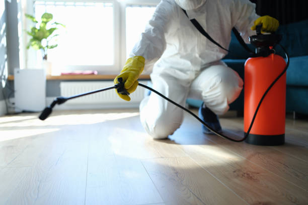 Best Local Pest Control Services  in Teviston, CA