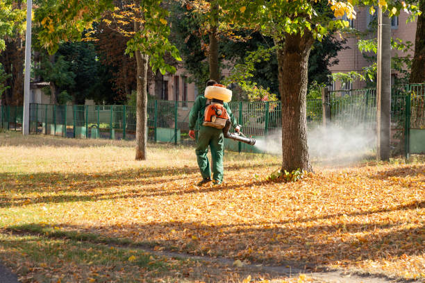 Best Pest Inspection Near Me  in Teviston, CA