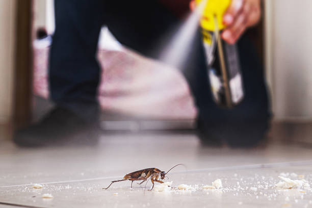 Best Exterminator Services  in Teviston, CA