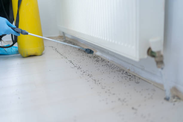 Best Wildlife Control Services  in Teviston, CA
